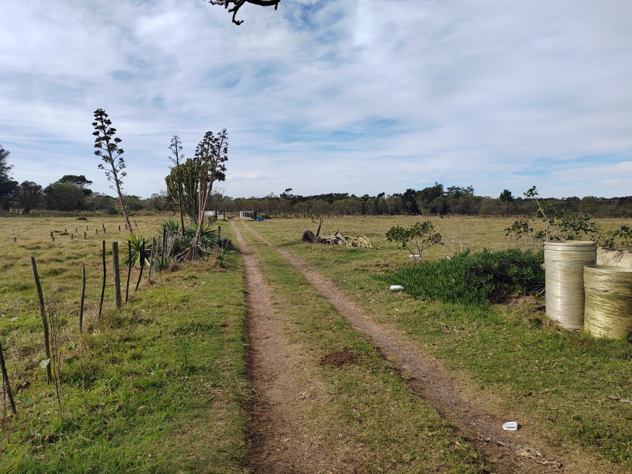 4 Bedroom Property for Sale in Gedults River Eastern Cape
